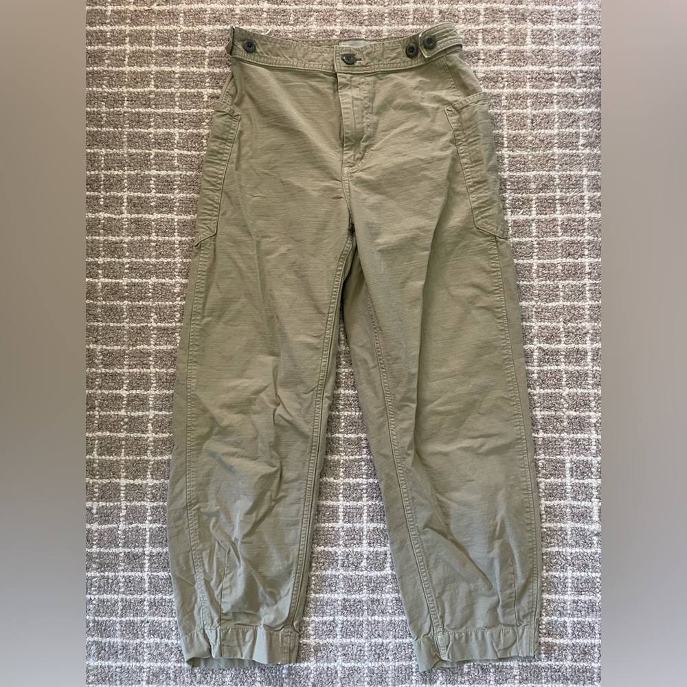 Everlane Fatigue Barrel Pants